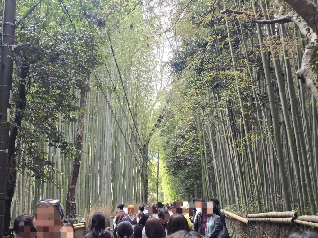 아라시야마 대나무 숲, 치쿠린 Arashiyama Bamboo Forest, Chikurin