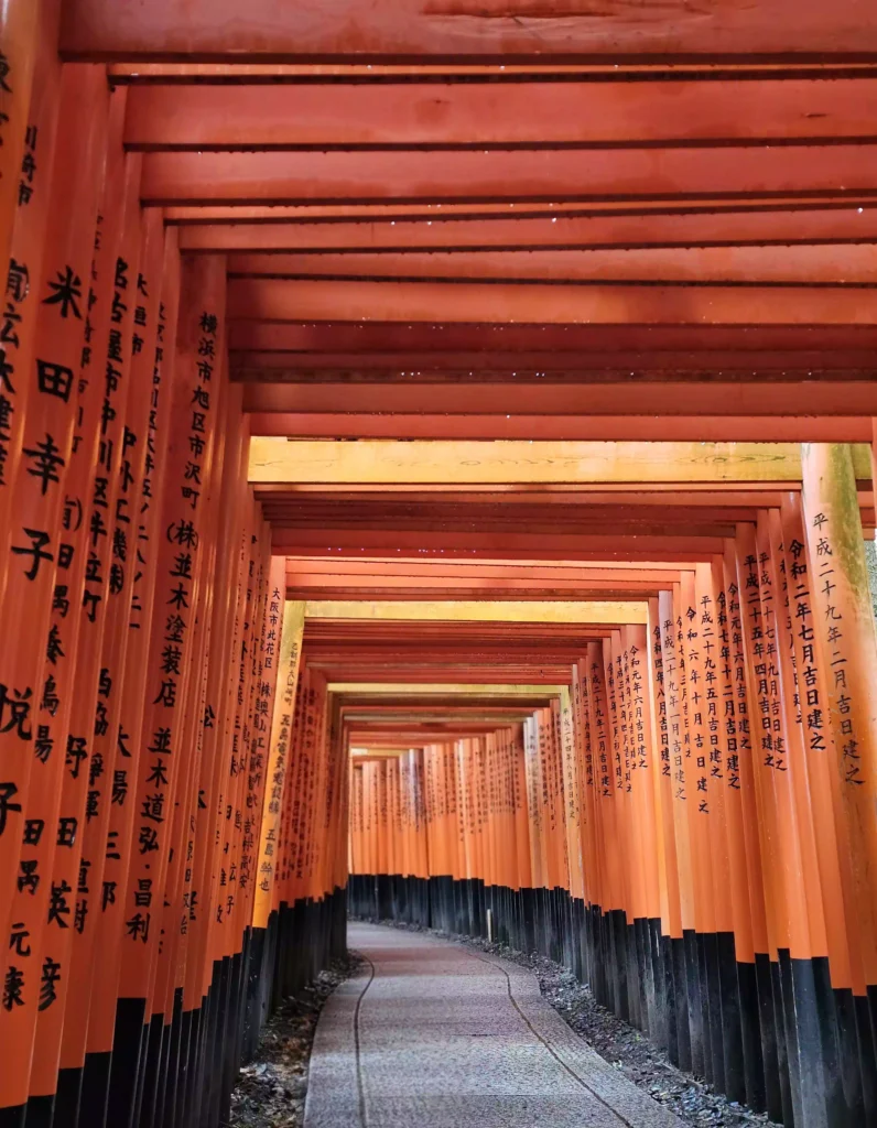 후시미 이나리 신사의 붉은 토리이 터널 The red torii tunnel of Fushimi Inari Shrine