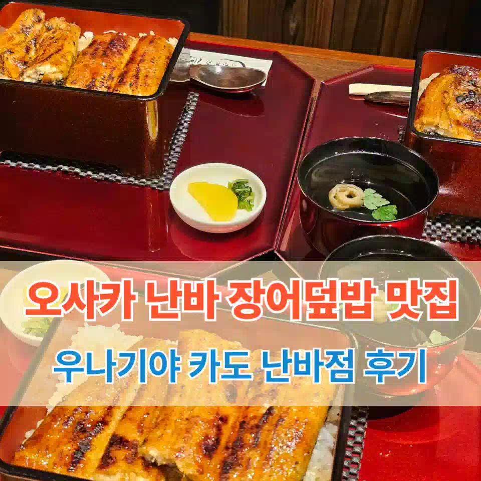 오사카 장어덮밥 우나기야 카도 난바점 추천 썸네일 Osaka Unagiya Kado Namba Branch Eel Rice Bowl Recommendation Thumbnail