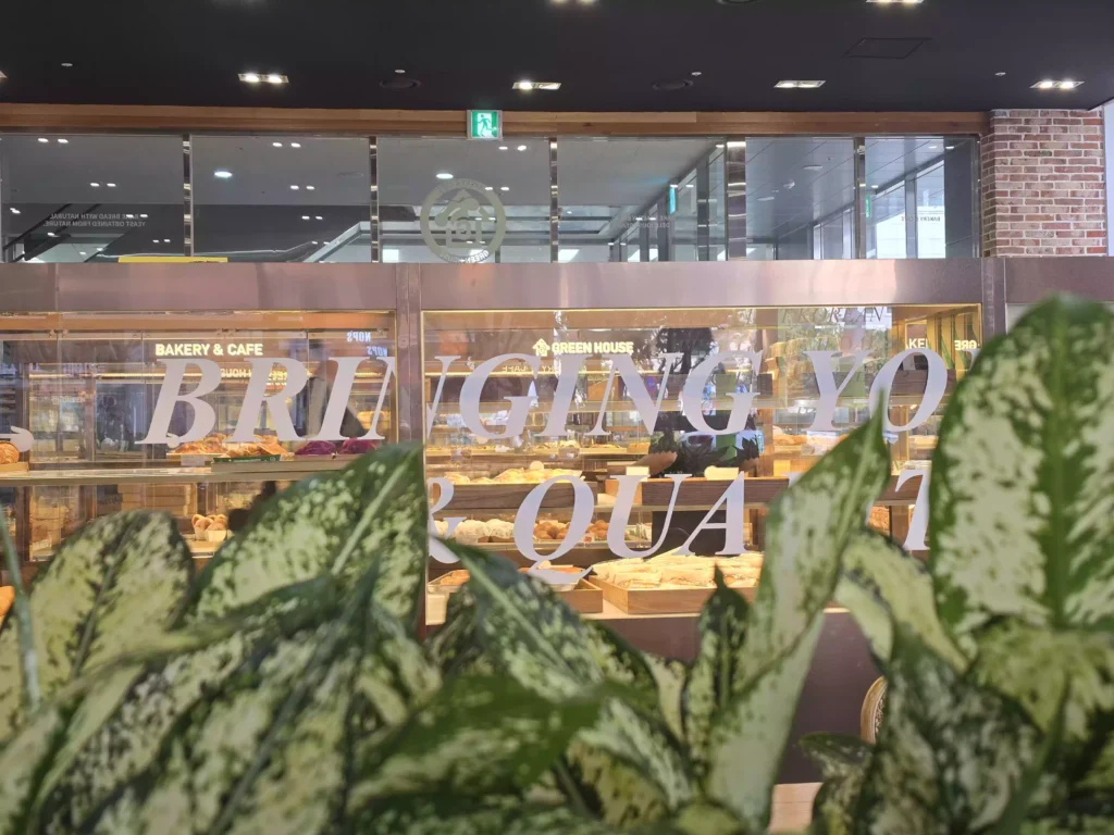 창원 그린하우스 상남점 진열장 Changwon Greenhouse Sangnam Display Case